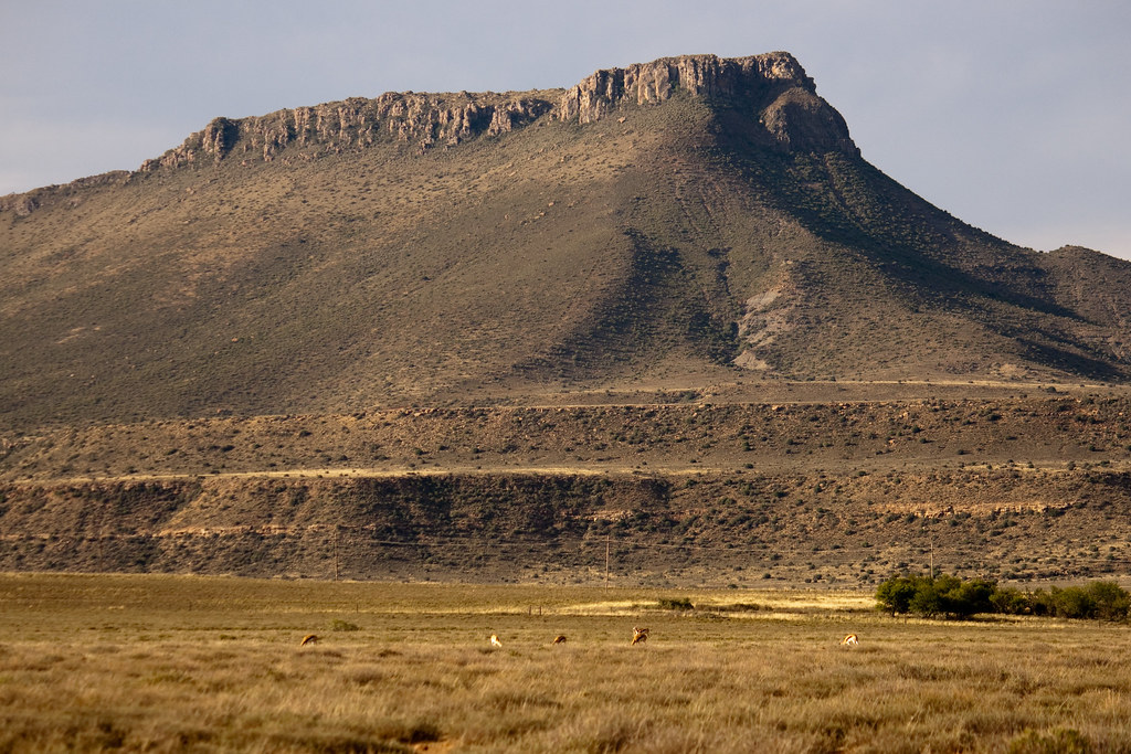 Flying into Joburg for Your First SA Safari