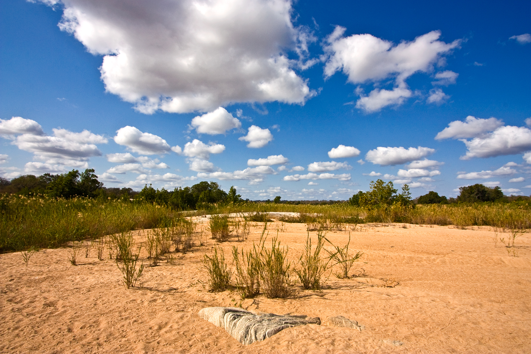 Hidden Hunting Gems Near Kruger National Park