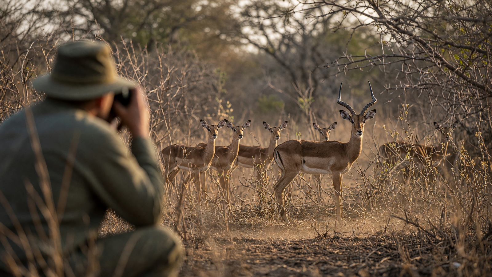 Understanding Animal Behavior Patterns