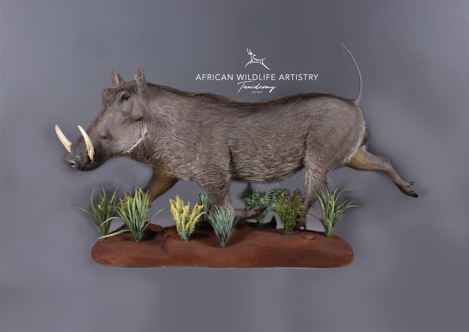 African Wildlife Artistry — Somerset East, South Africa
