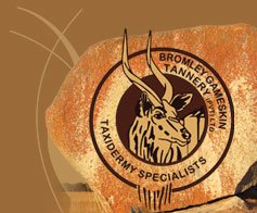 Bromley Taxidermy — Bromley / Harare, Zimbabwe logo