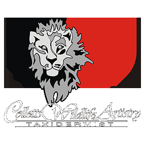 Collett’s Wildlife Artistry — Zimbabwe & South Africa taxidermy logo