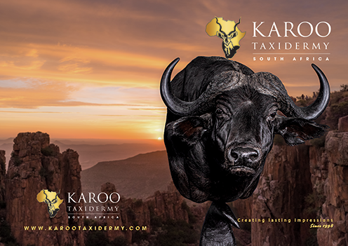 Karoo Taxidermy — Graaff-Reinet, South Africa