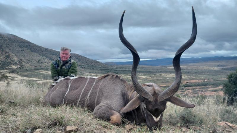 Belvedere Safaris - The first hunt package (Black Wildebeest, Blesbok, Greater Kudu, Springbok) — Belvedere Safaris Bedford Eastern Cape, South Africa