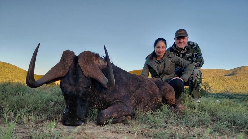 Belvedere Safaris - The first hunt package (Black Wildebeest, Blesbok, Greater Kudu, Springbok) — Belvedere Safaris Bedford Eastern Cape, South Africa