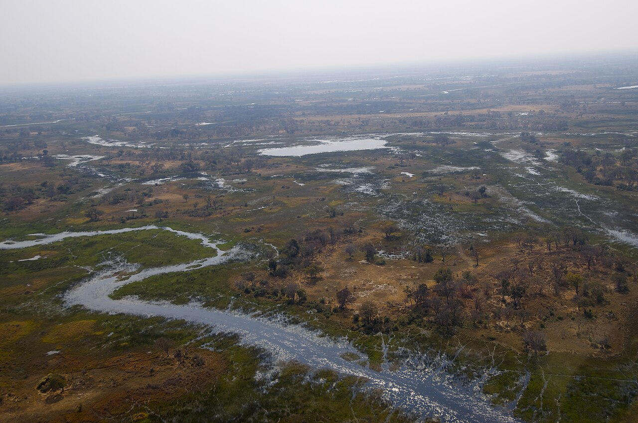 Hunting habitat landscape — Selous Buffalo Focus — 10 Days, Tanzania hunt package