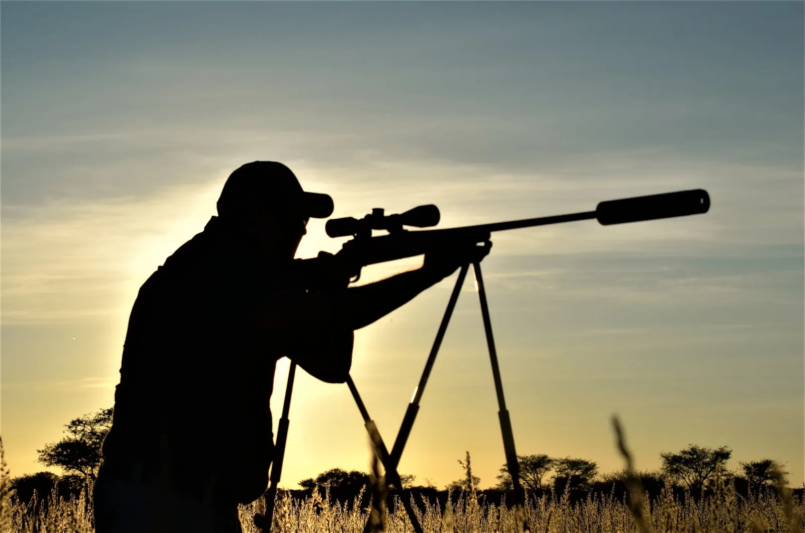 Plains Game Hunting Safaris