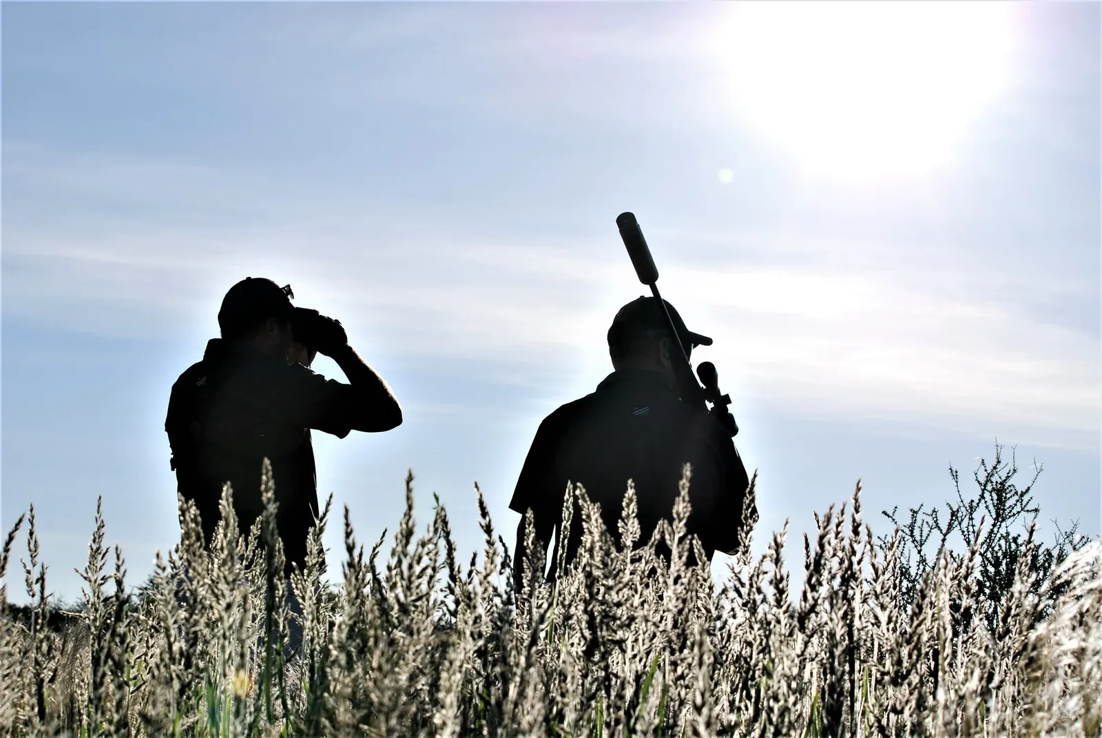 Plains Game Hunting Safaris