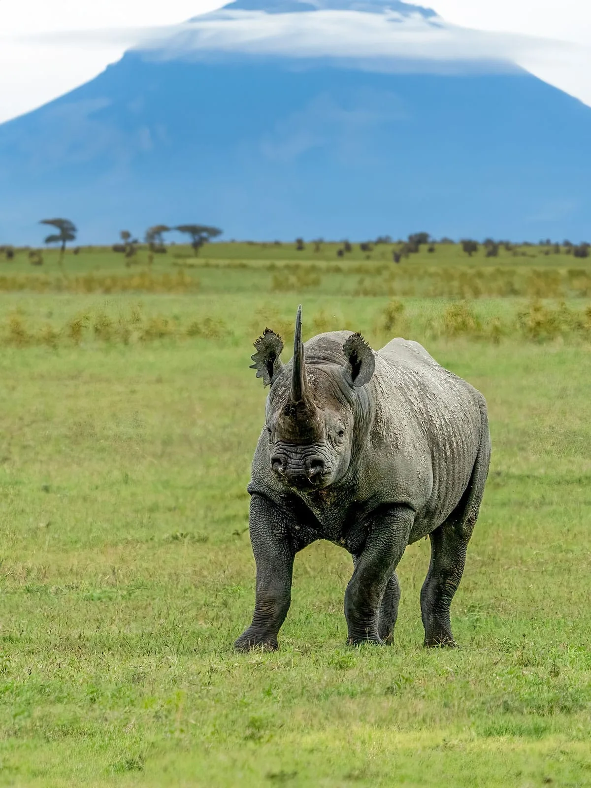 Adam Clements Safaris Limited