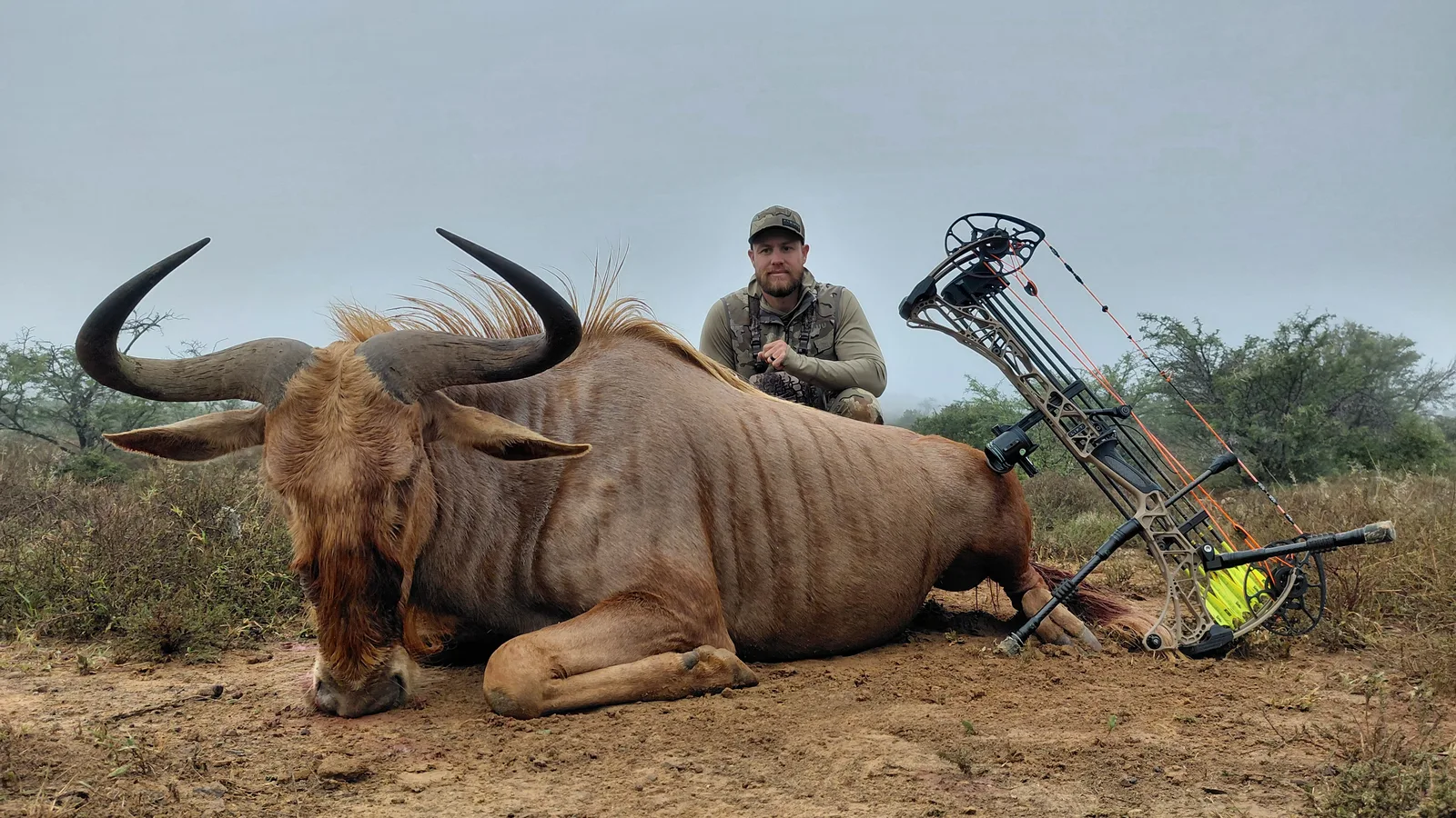 Belvedere Safaris