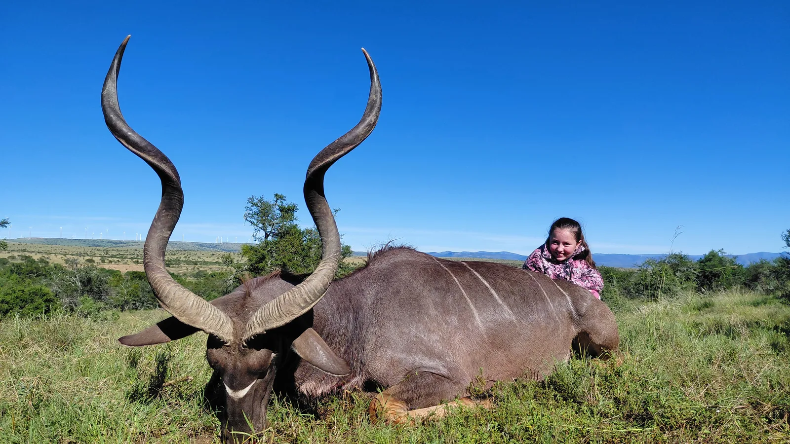 Belvedere Safaris