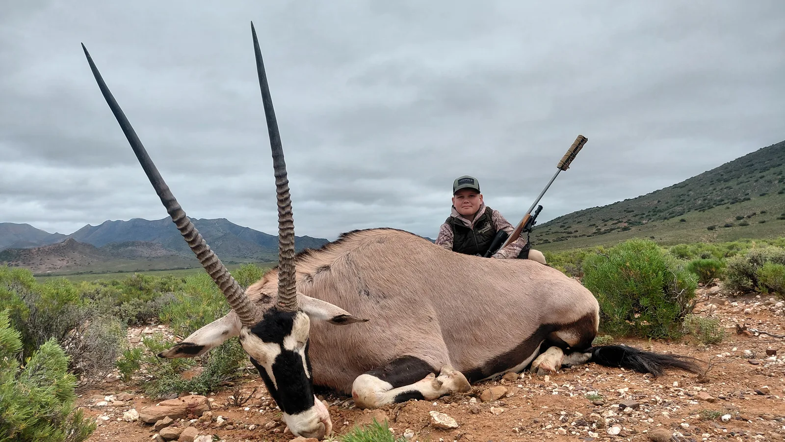 Belvedere Safaris
