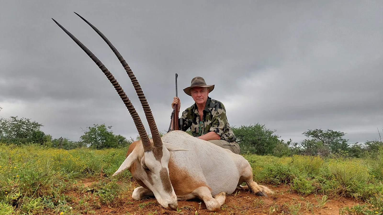 Belvedere Safaris