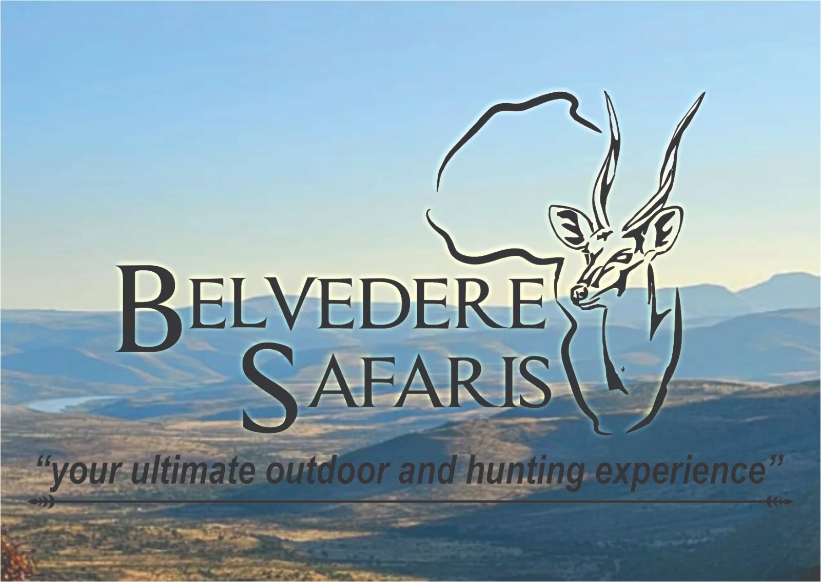 Belvedere Safaris