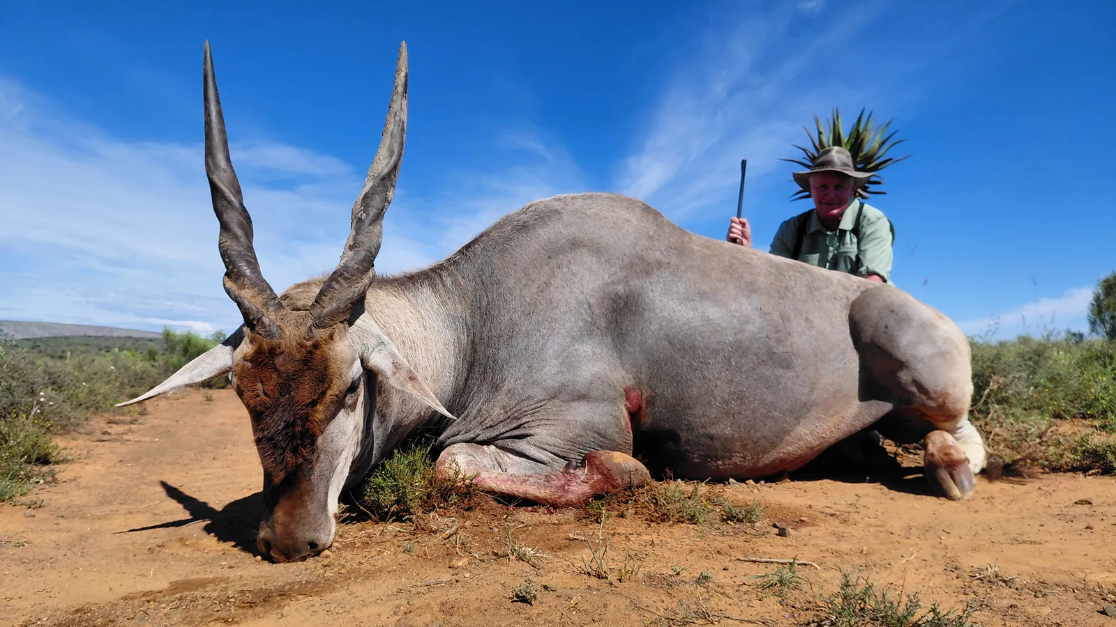 Belvedere Safaris