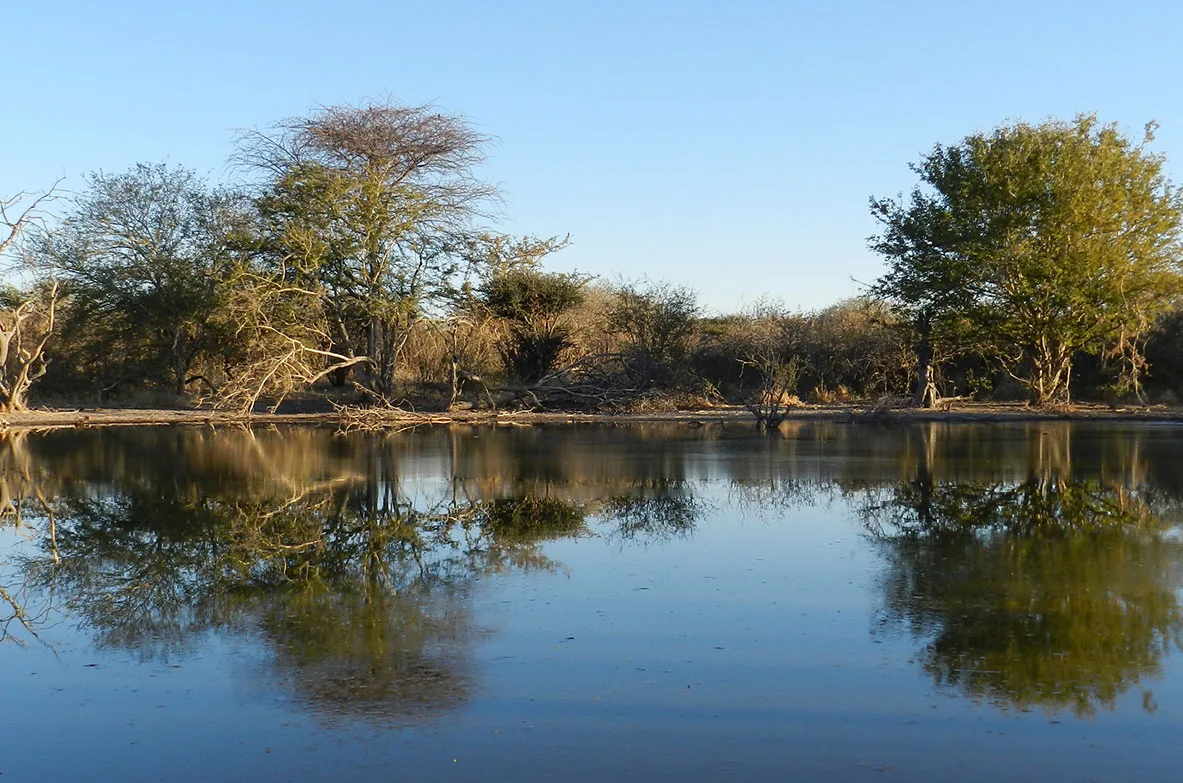 Bokamoso Safaris