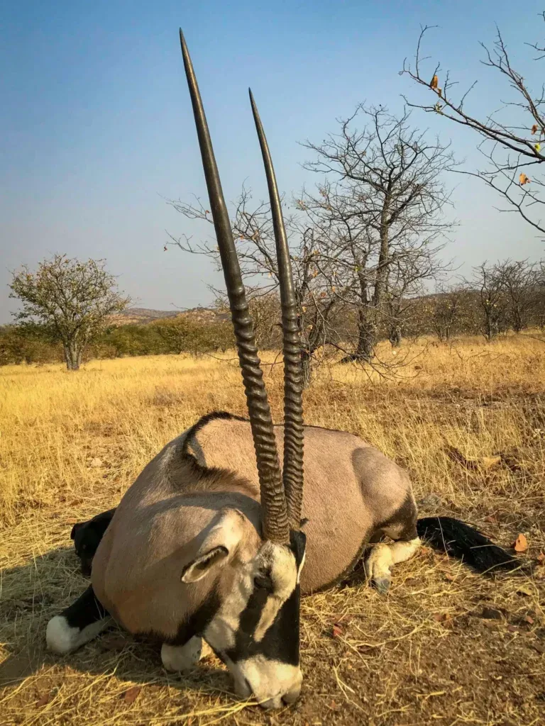 Boscia Wildlife Ventures CC