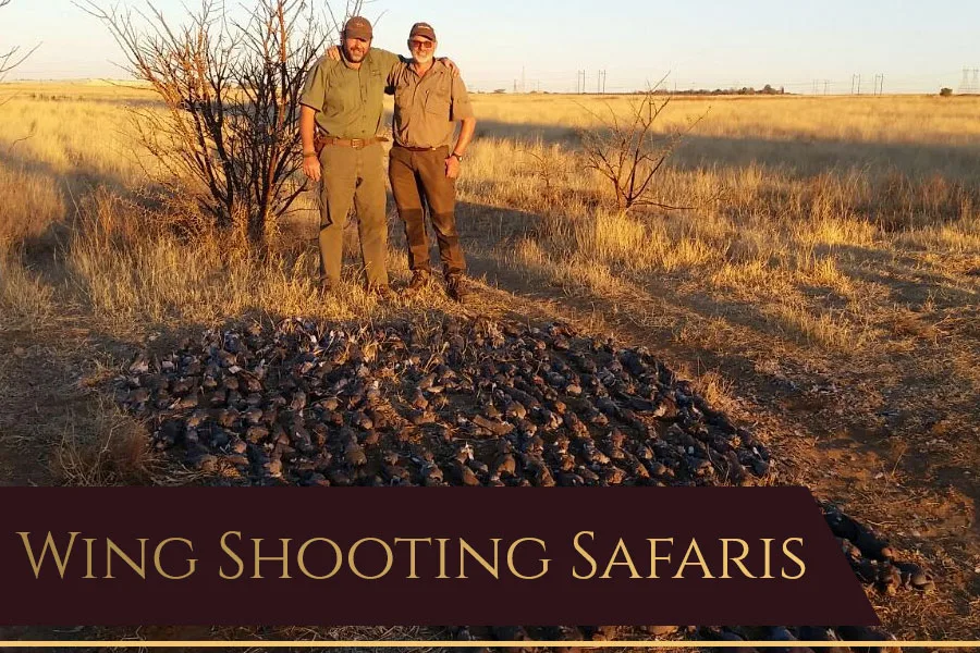 Dries van Coller Safaris