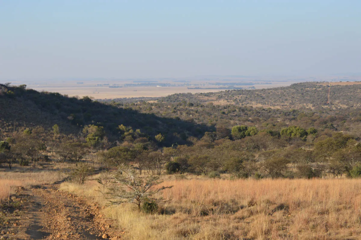 Leeukop lodge