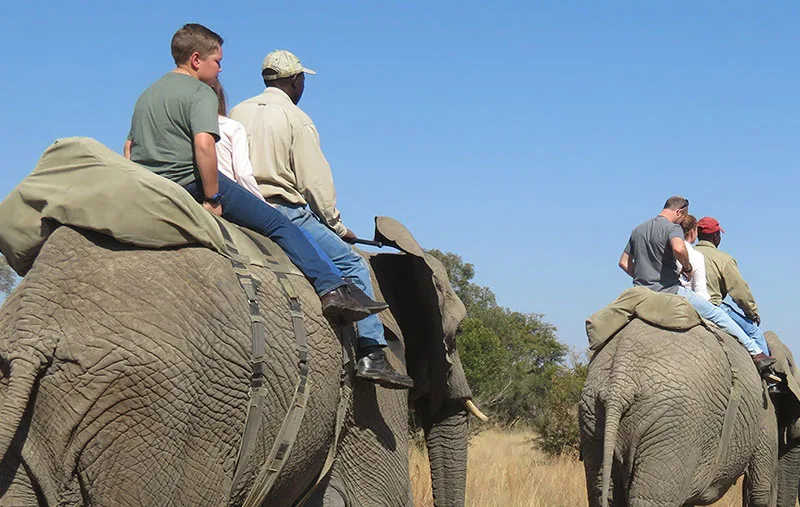 Lindile Safaris for Families