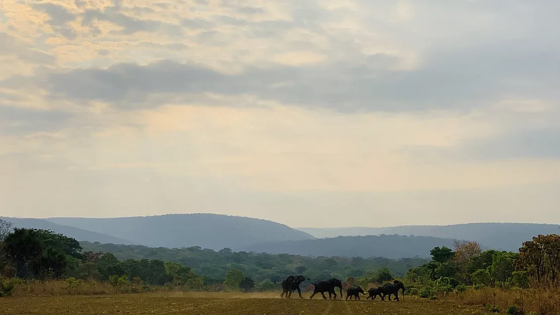 Michel Mantheakis Safaris Ltd