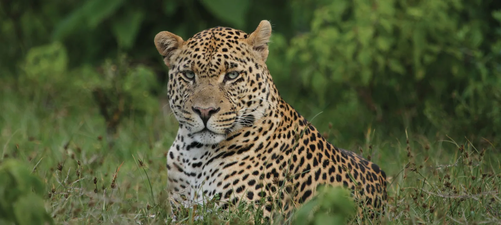 Robin Hurt Safaris Ltd