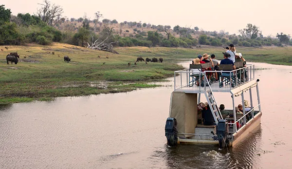 Safari Afrika
