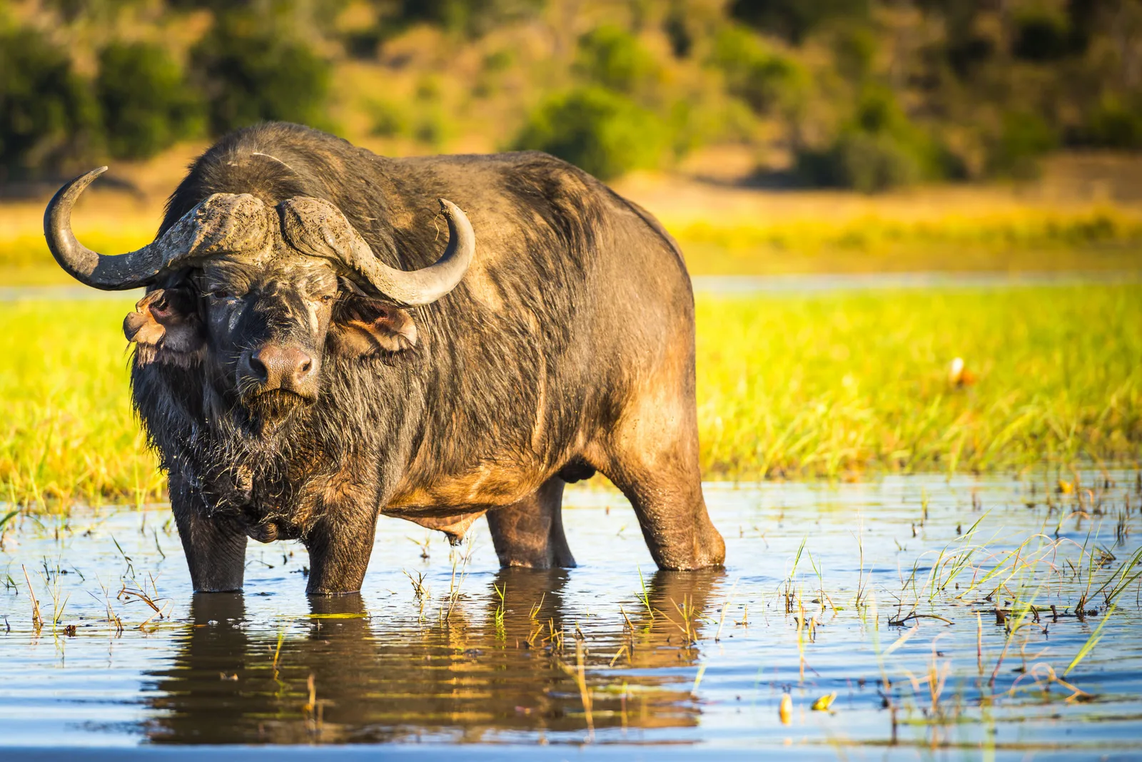 VK African Adventures