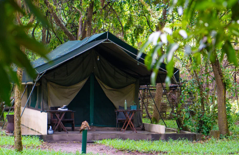 Zambeze Delta Safaris