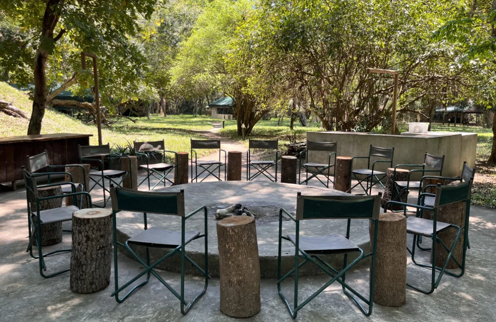 Zambeze Delta Safaris
