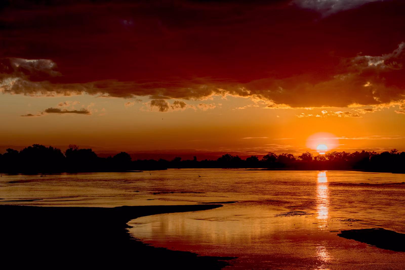 Silhouette of trees beside the Luangwa River at sunset, Zambia