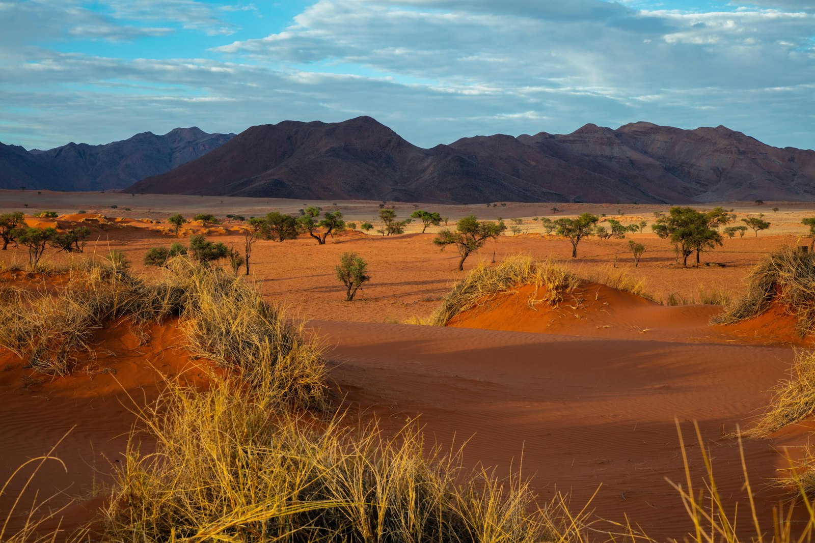 Árboles y crestas montañosas bajo el cielo azul en Namibia