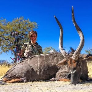 Damara Dik-Dik Safaris