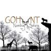 Gohunt Namibia Safaris