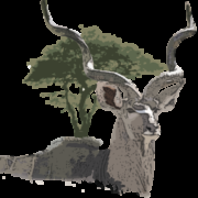 Okasandu Farming