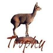Trophy Safaris