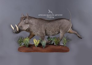 African Wildlife Artistry
