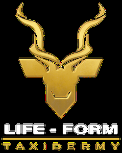 Life-Form Taxidermy